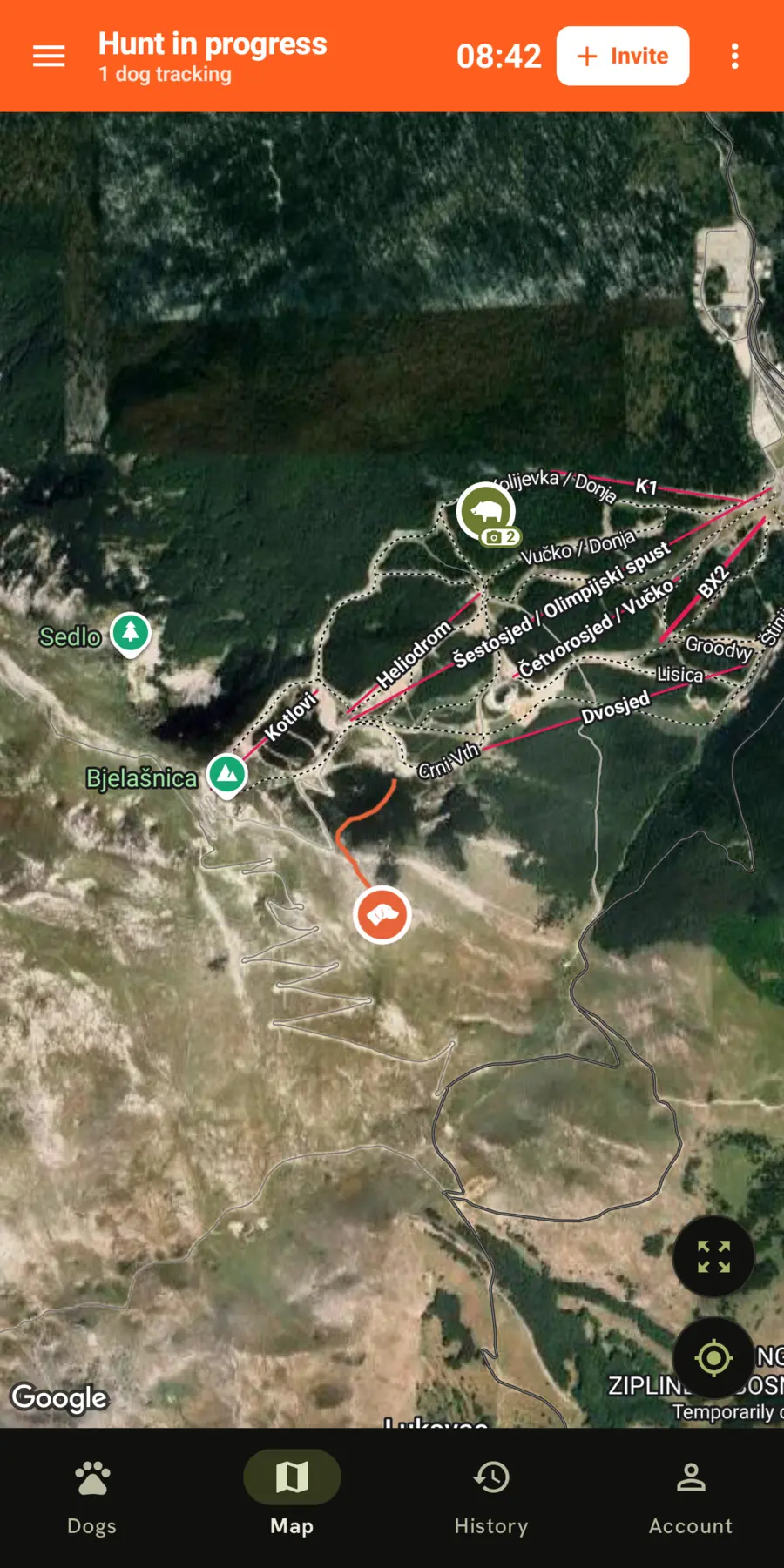 Live map